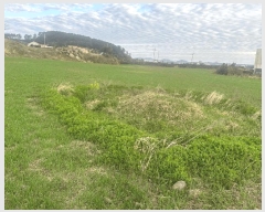  2025Ÿ��984 ���� ���ֽ� �ֿ��� ������ 1464-1      ����(��1)���