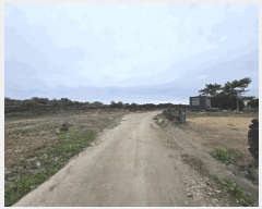  2025Ÿ��992 ���� ���ֽ� ������ ������ 1219      ����(��1)���