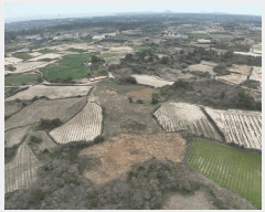  2025Ÿ��992 ���� ���ֽ� ������ ������ 1219      ����(��1)���