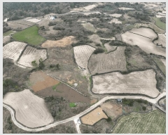  2025Ÿ��992 ���� ���ֽ� ������ ������ 1219      ����(��1)���