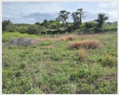  2025Ÿ��992 ���� ���ֽ� ������ ������ 1219      ����(��1)���