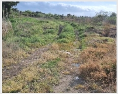  2025Ÿ��992 ���� ���ֽ� ������ ������ 1219      ����(��1)���