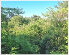  2025Ÿ��1000  �Ӿ߰��