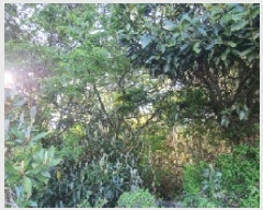  2025Ÿ��1000  �Ӿ߰��