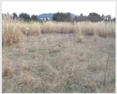  2025Ÿ��1009 ���� ���ֽ� �����̵� 1732-1       ����(������)���