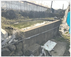  2025Ÿ��1009 ���� ���ֽ� �����̵� 1894       ����(������)���