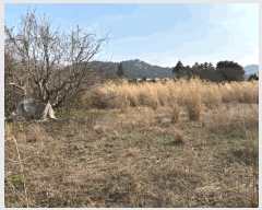  2025Ÿ��1009 ���� ���ֽ� �����̵� 1732-1       ����(������)���