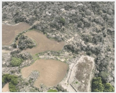  2025Ÿ��1036 ���� �������� �ȴ��� ������ 156      ����(�Ӿ�)���