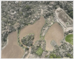  2025Ÿ��1036 ���� �������� �ȴ��� ������ 156      ����(�Ӿ�)���