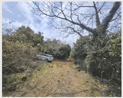  2025Ÿ��1036 ���� �������� �ȴ��� ������ 156      ����(�Ӿ�)���