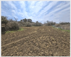  2025Ÿ��1036 ���� �������� �ȴ��� ������ 156      ����(�Ӿ�)���