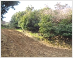  2025Ÿ��1036 ���� �������� �ȴ��� ������ 156      ����(�Ӿ�)���