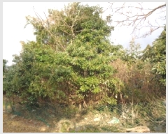  2025Ÿ��1036 ���� �������� �ȴ��� ������ 156      ����(�Ӿ�)���