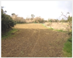  2025Ÿ��1036 ���� �������� �ȴ��� ������ 156      ����(�Ӿ�)���