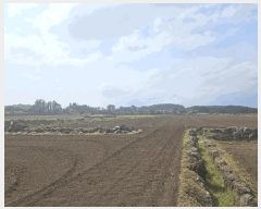  2025Ÿ��1054 ���� ���ֽ� ������ ��ȭ�� 2775      ����(��1)���