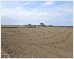  2025Ÿ��1054 ���� ���ֽ� ������ ��ȭ�� 2775      ����(��1)���