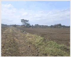  2025Ÿ��1054 ���� ���ֽ� ������ ��ȭ�� 2775      ����(��1)���