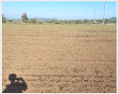  2025Ÿ��1054 ���� ���ֽ� ������ ��ȭ�� 2775      ����(��1)���