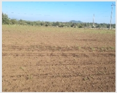  2025Ÿ��1054 ���� ���ֽ� ������ ��ȭ�� 2775      ����(��1)���