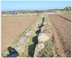  2025Ÿ��1054 ���� ���ֽ� ������ ��ȭ�� 2775      ����(��1)���