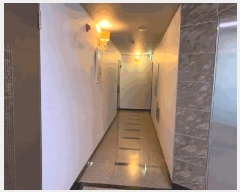  2025Ÿ��1108  ���ڽü����