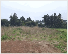  2025Ÿ��1122  �������