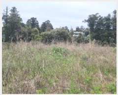  2025Ÿ��1122  �������