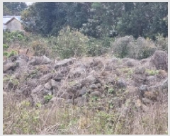  2025Ÿ��1122  �������