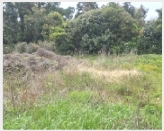  2025Ÿ��1122  �������