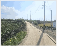  2025Ÿ��1130 ���� ���ֽ� �Ѱ�� ������ 1544-1      ����(��1)���
