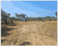  2025Ÿ��1130 ���� ���ֽ� �Ѱ�� ������ 1544-1      ����(��1)���