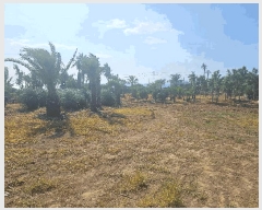  2025Ÿ��1130 ���� ���ֽ� �Ѱ�� ������ 1544-1      ����(��1)���