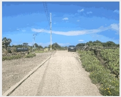  2025Ÿ��1130 ���� ���ֽ� �Ѱ�� ������ 1544-1      ����(��1)���