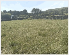  2025Ÿ��1139 ���� �������� ��ȿ�� 1958       ����(����)���