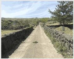  2025Ÿ��1139 ���� �������� ��ȿ�� 1958       ����(����)���