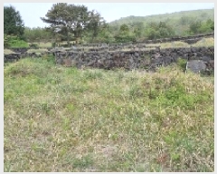  2025Ÿ��1139 ���� �������� ��ȿ�� 1958       ����(����)���