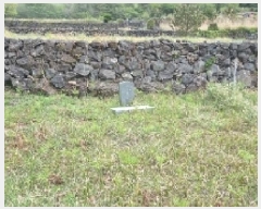  2025Ÿ��1139 ���� �������� ��ȿ�� 1958       ����(����)���