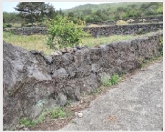  2025Ÿ��1139 ���� �������� ��ȿ�� 1958       ����(����)���