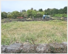  2025Ÿ��1139 ���� �������� ��ȿ�� 1958       ����(����)���