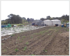  2025Ÿ��1147 ���� ���ֽ� �ֿ��� ������ 339      ����(��1)���