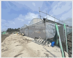  2025Ÿ��1147 ���� ���ֽ� �ֿ��� ������ 339      ����(��1)���