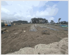  2025Ÿ��1147 ���� ���ֽ� �ֿ��� ������ 339      ����(��1)���