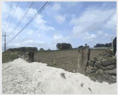  2025Ÿ��1147 ���� ���ֽ� �ֿ��� ������ 339      ����(��1)���