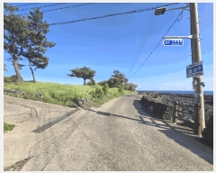  2025Ÿ��1195 ���� �������� �ȴ��� âõ�� 801-1      ����(��1)���