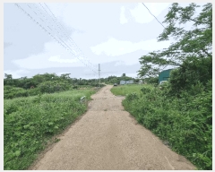  2025Ÿ��1204  �����