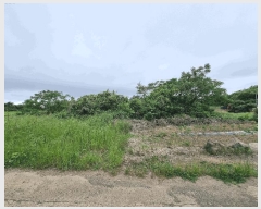  2025Ÿ��1204  �����