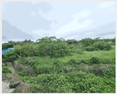  2025Ÿ��1204  �����