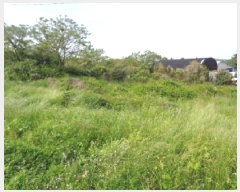  2025Ÿ��1204  �����