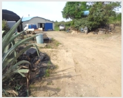  2025Ÿ��1204  �����