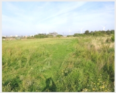  2025Ÿ��1242  �����